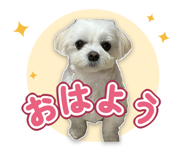 おはようのスタンプ