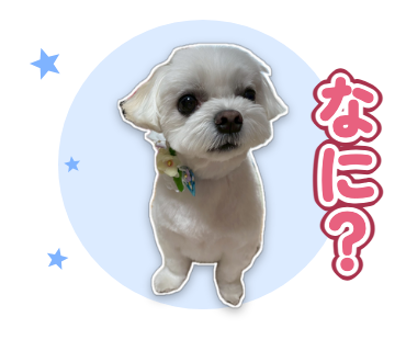 なに?と首をかしげるそらちゃん